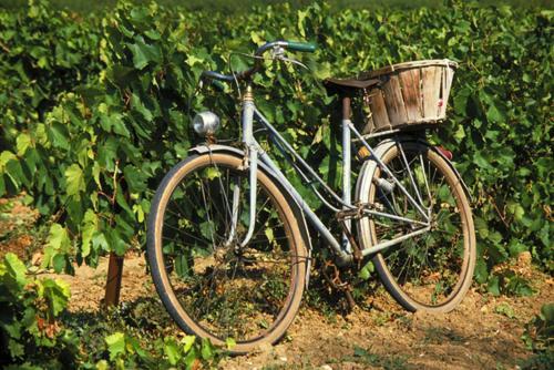 La Maison Grenadine Pres Du Canal Du Midi Tourouzelle Bagian luar foto